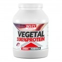 Proteine Vegetali WHY Sport, Vegetal 100% Protein, 750 g