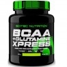 Scitec Nutrition, Bcaa+Glutammina Xpress, 600 g