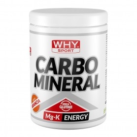 Mix Carboidrati WHY Sport, Carbo Mineral, 400 g.