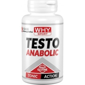 Equilibrio del Testosterone WHY Sport, Testo Anabolic, 90 cpr