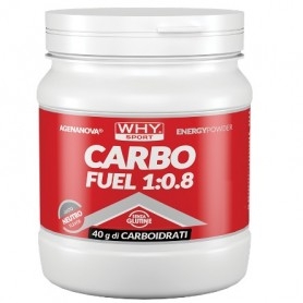 Mix Carboidrati WHY Sport, Carbo Fuel 1:0.8, 615 g