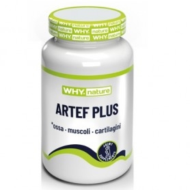 Glucosamina, Condroitina, MSM Why Nature, Artef Plus, 60 cpr