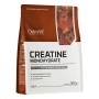 OstroVit, Creatine Monohydrate Aromatizzata, 300 g