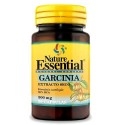 Garcinia Cambogia Nature Essential, Garcinia, 90 cps