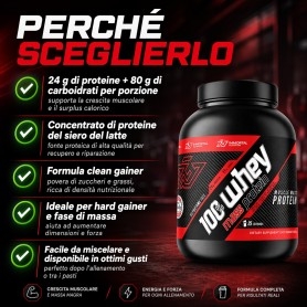 Immortal Nutrition, 100% Whey Mass Protein, 3000 g