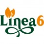 Linea6